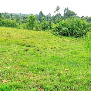 Kok Self Help Group, in Chemaner Ward Bomet East Sub-county during a sensitization meeting ahead of implementation of FLLoCA funded fish farming in a bid to mitigate climates change