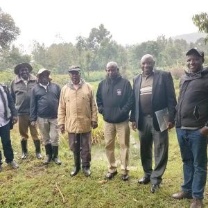 Siloam Self Help Group in Kipreres Ward Bomet East Sub-county (3)