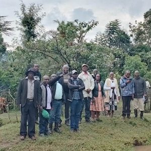 Siloam Self Help Group in Longisa Ward Bomet East Sub-county (1)
