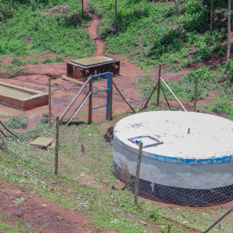 Chemaetany Spring protection project (3)